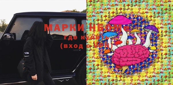 прущие грибы Осинники