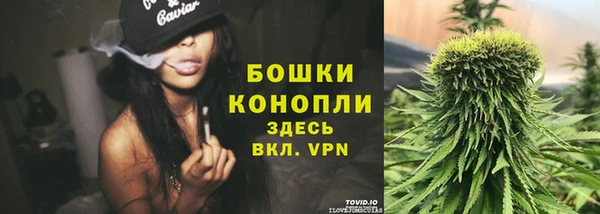прущие грибы Осинники
