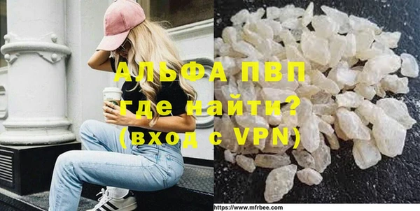 прущие грибы Осинники