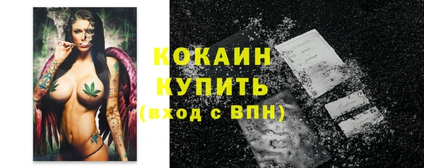 прущие грибы Осинники