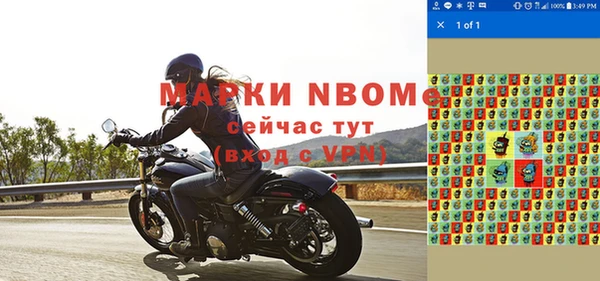 прущие грибы Осинники