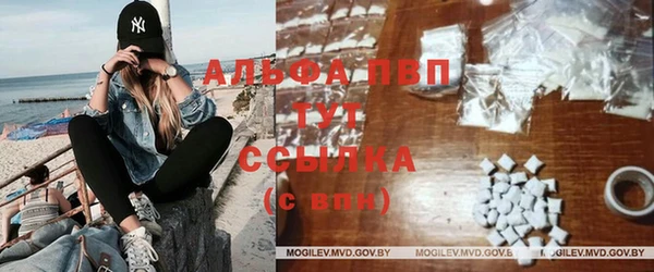 прущие грибы Осинники