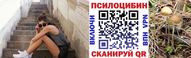 omg   купить наркоту  Таганрог  Псилоцибиновые грибы GOLDEN TEACHER 